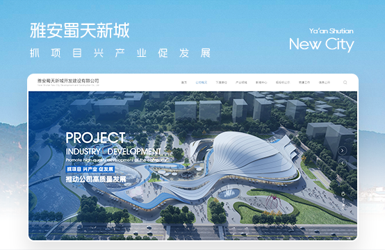 品牌官網、高端網站建設