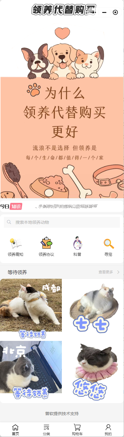 領(lǐng)養(yǎng)寵物
